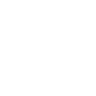 Plane icon